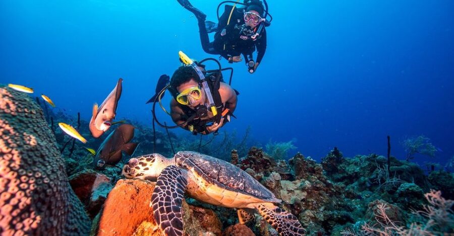 Scuba Diving Tour with Transfer From Alanya and city of Side - Two Mediterranean descents, with a careful start