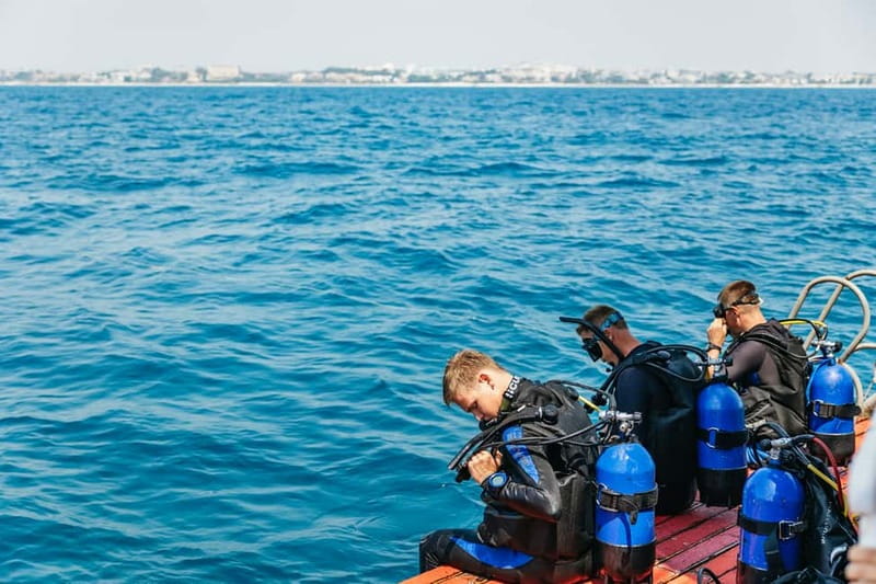Side: Scuba Diving, Underwater Museum, 2 Dives incl. Lunch - Key points at a glance