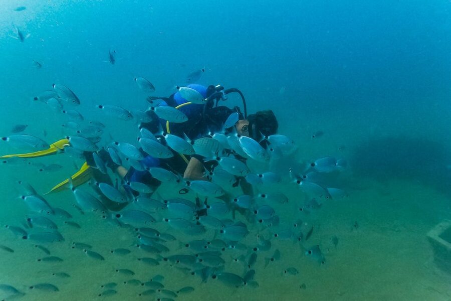 Side: Scuba Diving, Underwater Museum, 2 Dives incl. Lunch - Should you book the Side scuba and museum trip?