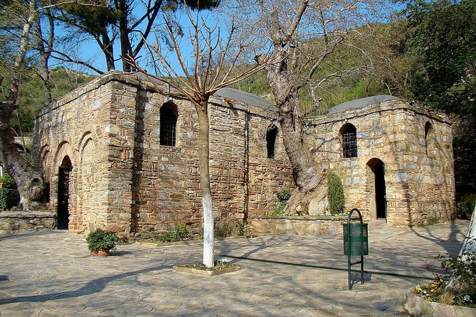 SKIP-THE-LINE: Group & Private Ephesus Tour ENTRY FEE & LUNCH - The Temple of Artemis and the House of Mary