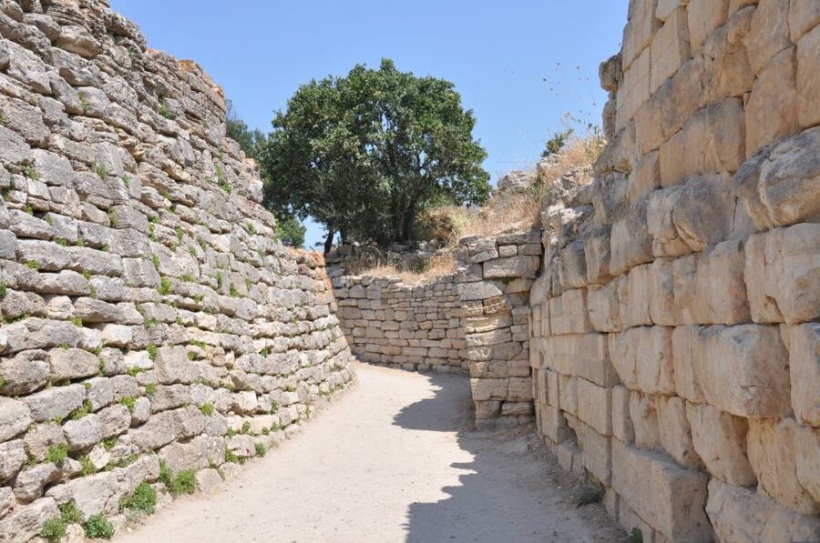 Troy: Full-Day Tour from Istanbul - Who should book this Troy tour