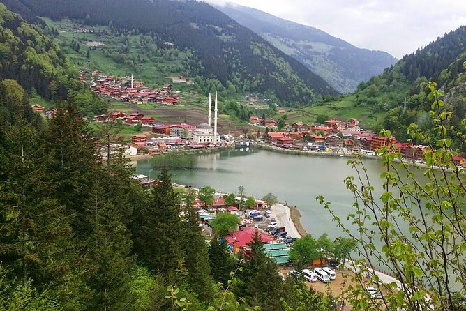 Uzungol Tour: Full-Day Nature Adventure with Tea Factory Visit - Is $58.71 good value?